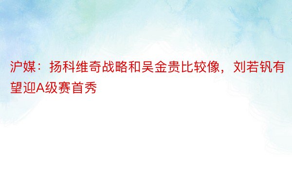 沪媒：扬科维奇战略和吴金贵比较像，刘若钒有望迎A级赛首秀