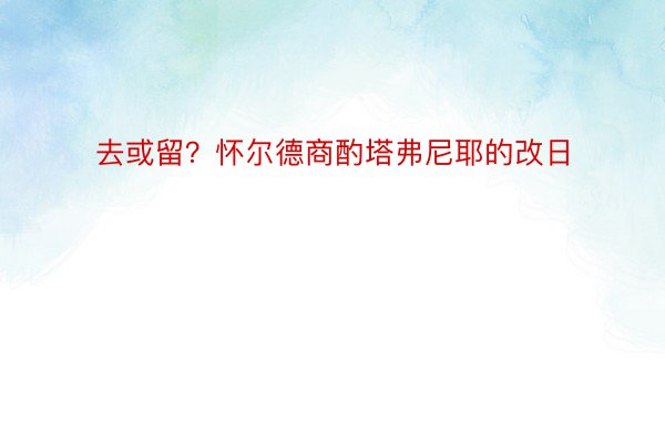 去或留？怀尔德商酌塔弗尼耶的改日