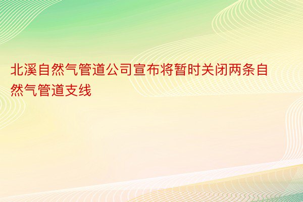 北溪自然气管道公司宣布将暂时关闭两条自然气管道支线