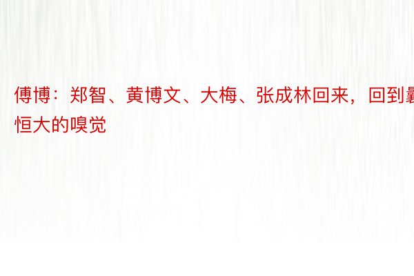 傅博：郑智、黄博文、大梅、张成林回来，回到曩昔恒大的嗅觉