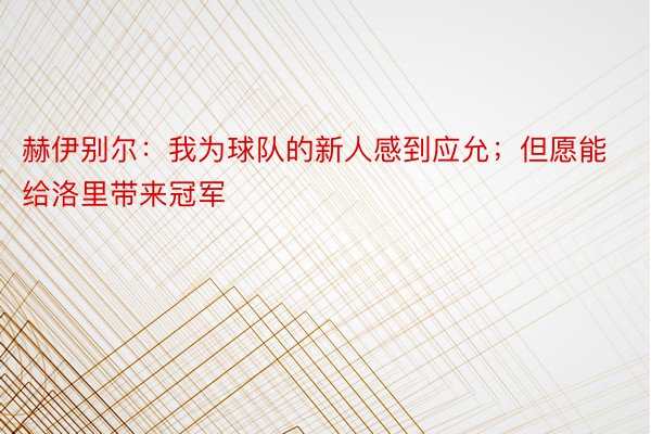 赫伊别尔：我为球队的新人感到应允；但愿能给洛里带来冠军