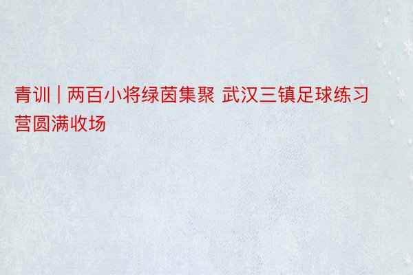 青训 | 两百小将绿茵集聚 武汉三镇足球练习营圆满收场