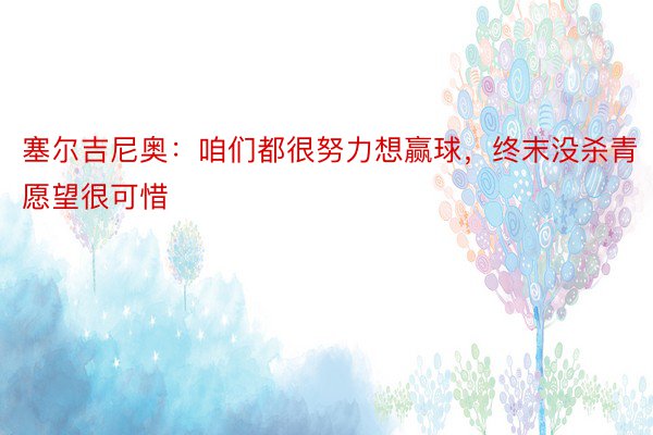 塞尔吉尼奥：咱们都很努力想赢球，终末没杀青愿望很可惜