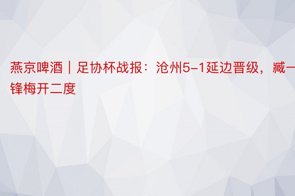 燕京啤酒｜足协杯战报：沧州5-1延边晋级，臧一锋梅开二度