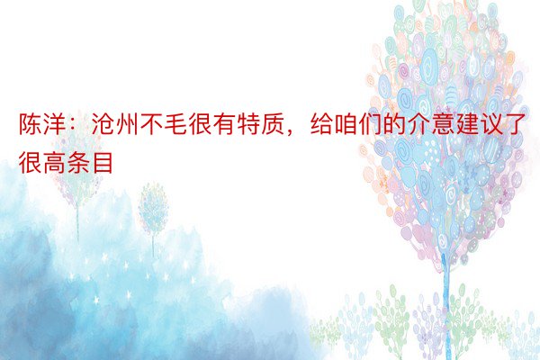 陈洋：沧州不毛很有特质，给咱们的介意建议了很高条目