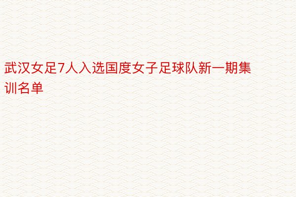 武汉女足7人入选国度女子足球队新一期集训名单