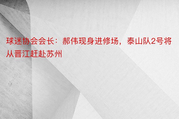 球迷协会会长：郝伟现身进修场，泰山队2号将从晋江赶赴苏州